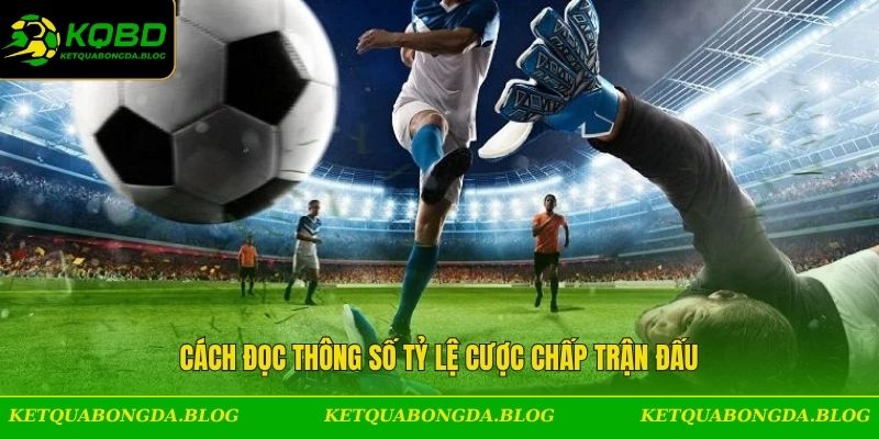 Cách đọc thông số tỷ lệ cược chấp trận đấu